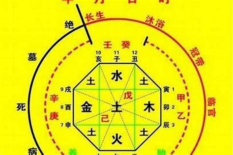 金神 八字|金神